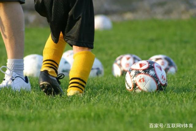 甲醛白菜事件揭示的道德缺失与社会责任